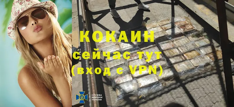 даркнет сайт  Дмитриев  omg ТОР  КОКАИН Эквадор 